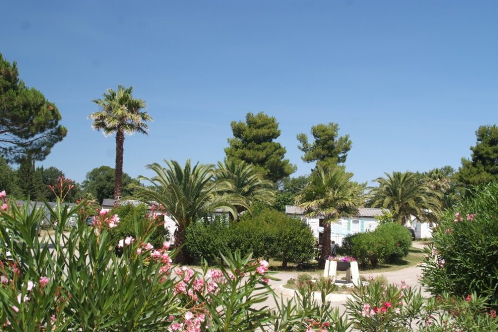 Camping-Paradis-Le-Pearl-Emplacement-camping