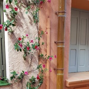 Découverte de Collioure