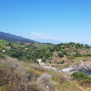 The coastal path