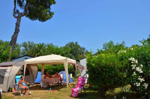 Emplacement Premium