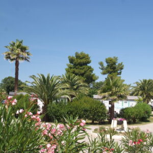 Emplacement Premium
