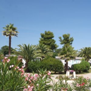 Emplacement Premium