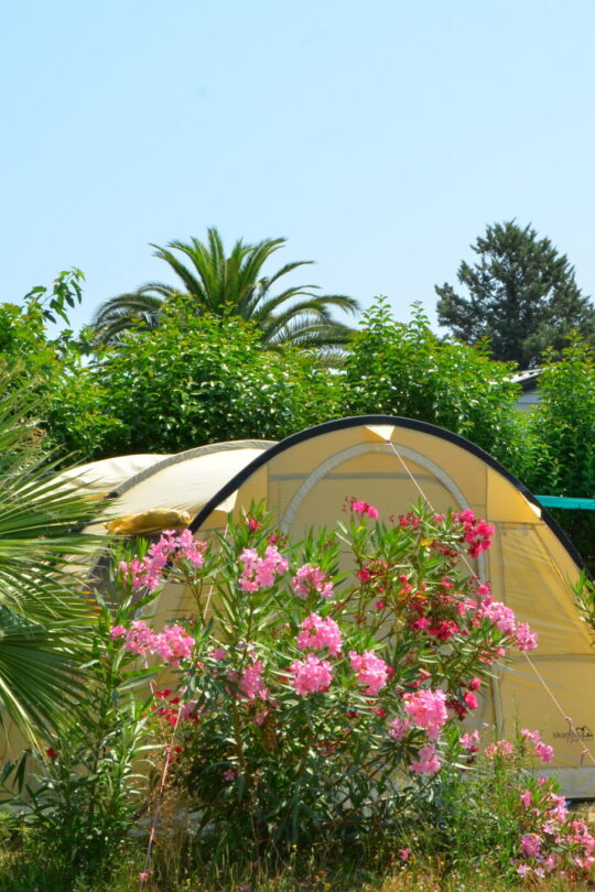 Camping pitch