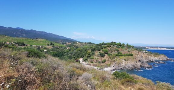 The coastal path