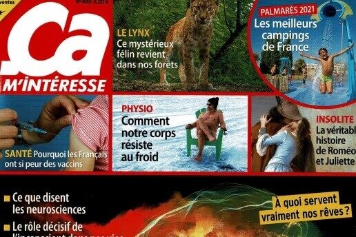 Le&#x20;Camping&#x20;Paradis&#x20;Le&#x20;Pearl&#x20;dans&#x20;le&#x20;palmar&#x00E8;s&#x20;2021&#x20;des&#x20;meilleurs&#x20;campings&#x20;de&#x20;France&#x20;&#x21;